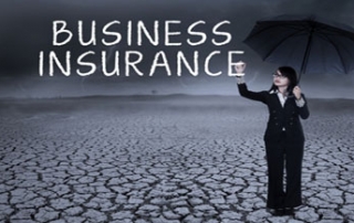 Business Owners Insurance